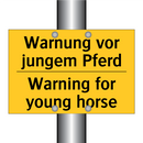 Warnung vor jungem Pferd - Warning for young horse