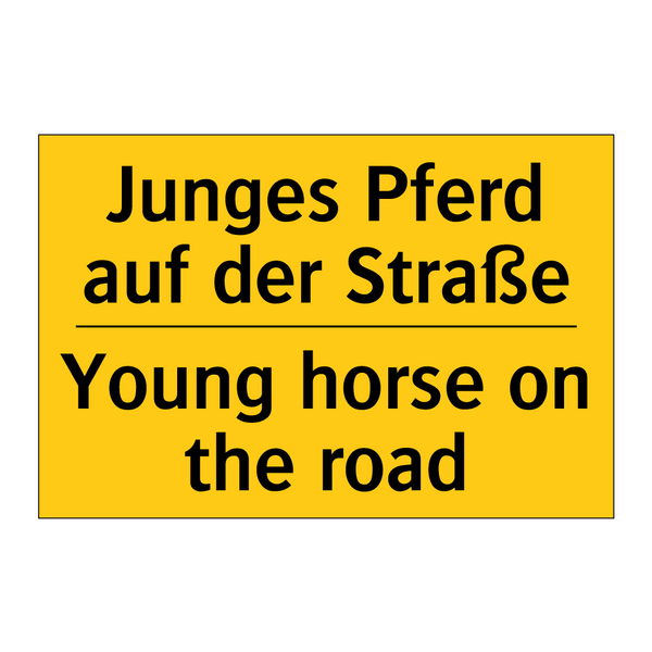 Junges Pferd auf der Straße - Young horse on the road