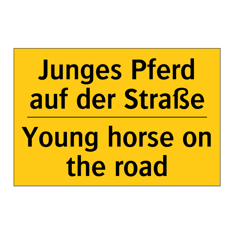 Junges Pferd auf der Straße - Young horse on the road