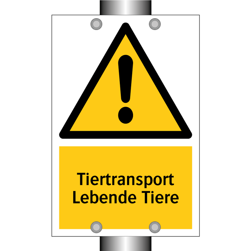 Tiertransport Lebende Tiere