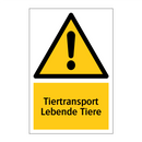 Tiertransport Lebende Tiere