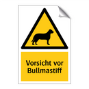 Vorsicht vor Bullmastiff