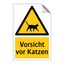 Vorsicht vor Katzen
