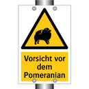 Vorsicht vor dem Pomeranian