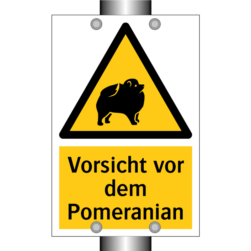 Vorsicht vor dem Pomeranian