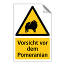 Vorsicht vor dem Pomeranian
