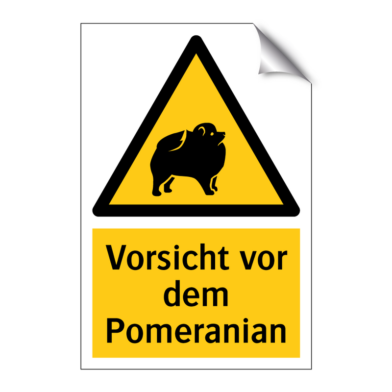 Vorsicht vor dem Pomeranian