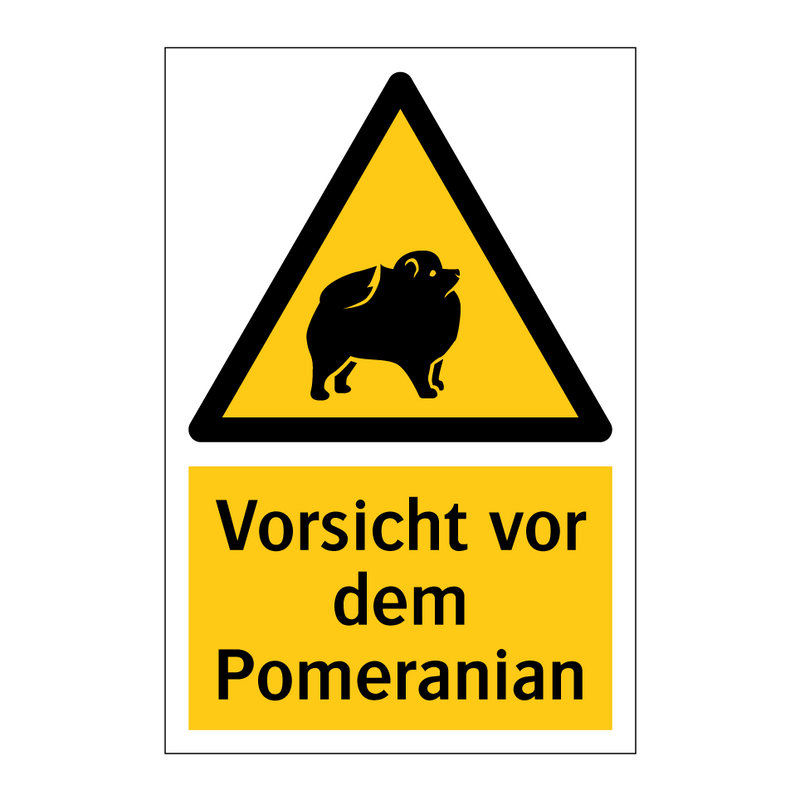 Vorsicht vor dem Pomeranian
