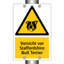 Vorsicht vor Staffordshire Bull Terrier