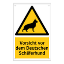 Vorsicht vor dem Deutschen Schäferhund
