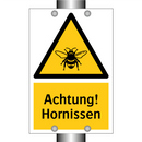 Achtung! Hornissen