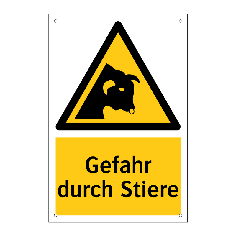 Gefahr durch Stiere