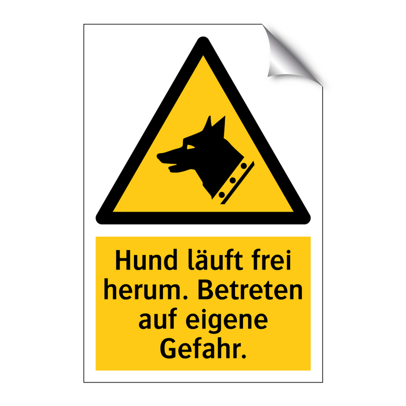 Hund läuft frei herum. Betreten auf eigene Gefahr.