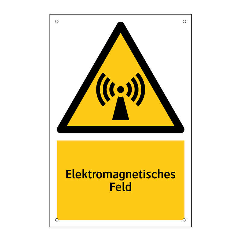 Elektromagnetisches Feld
