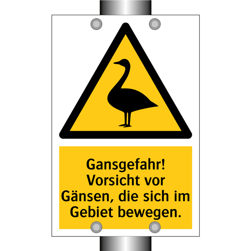 Gansgefahr! Vorsicht vor Gänsen, die sich im Gebiet bewegen.