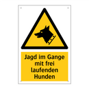 Jagd im Gange mit frei laufenden Hunden