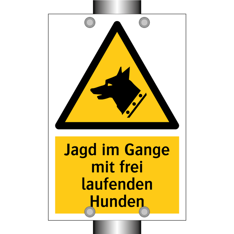Jagd im Gange mit frei laufenden Hunden