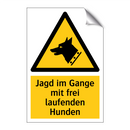 Jagd im Gange mit frei laufenden Hunden