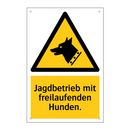 Jagdbetrieb mit freilaufenden Hunden.