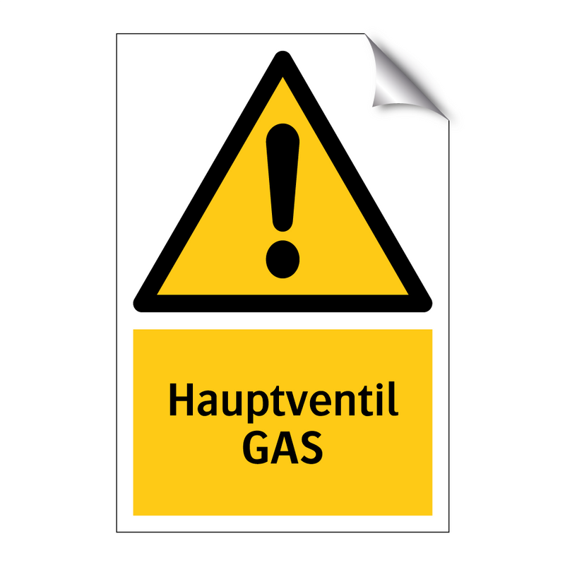 Hauptventil GAS