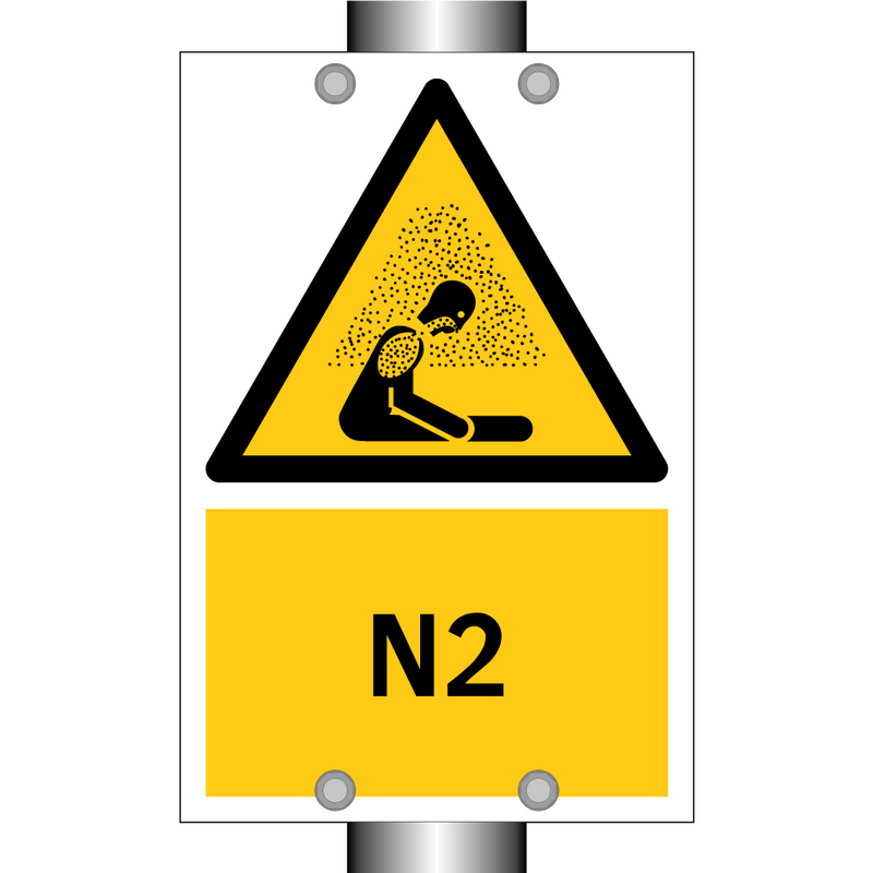 N2