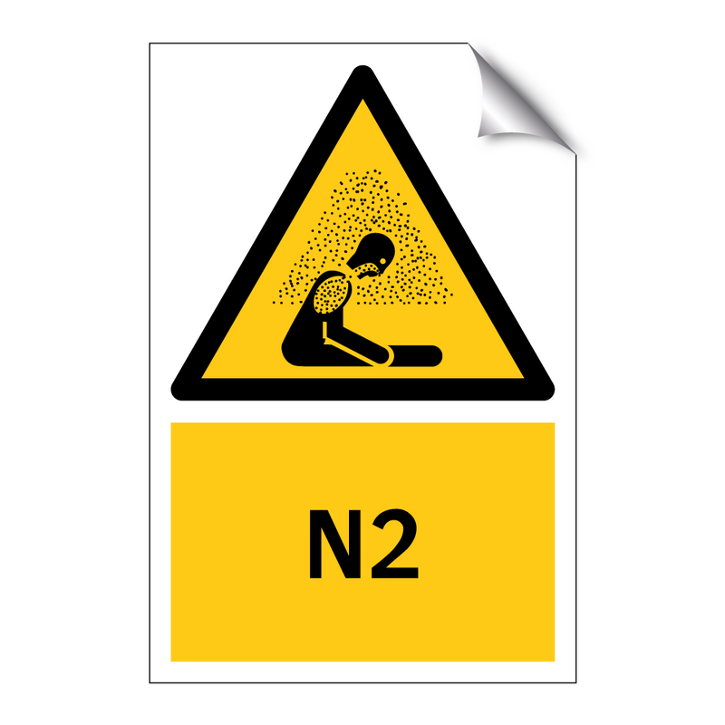 N2