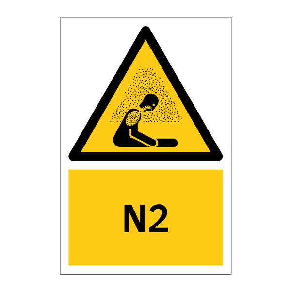 N2