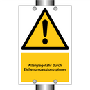 Allergiegefahr durch Eichenprozessionsspinner