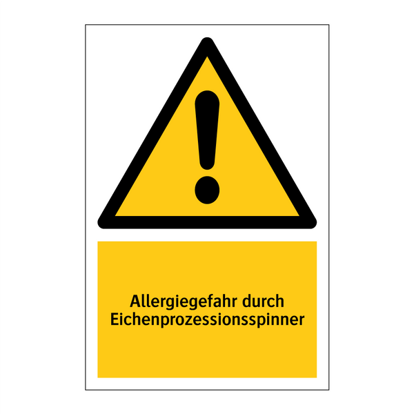 Allergiegefahr durch Eichenprozessionsspinner