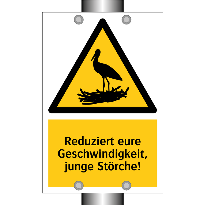Reduziert eure Geschwindigkeit, junge Störche!