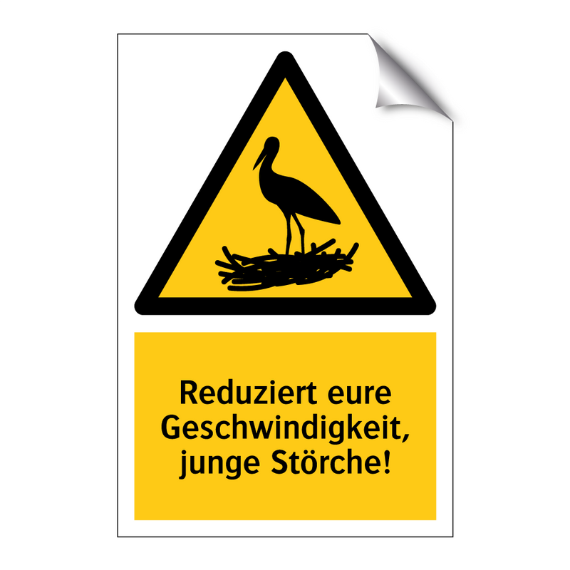 Reduziert eure Geschwindigkeit, junge Störche!