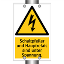 Schaltpfeiler und Hauptrelais sind unter Spannung.