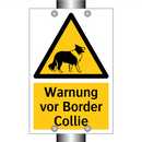 Warnung vor Border Collie