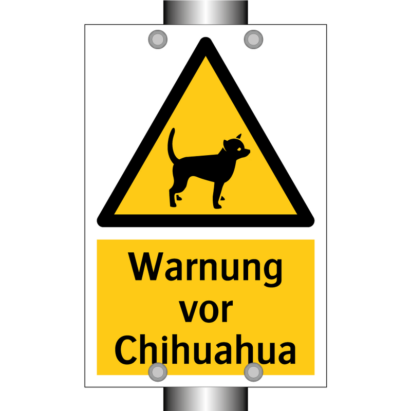 Warnung vor Chihuahua