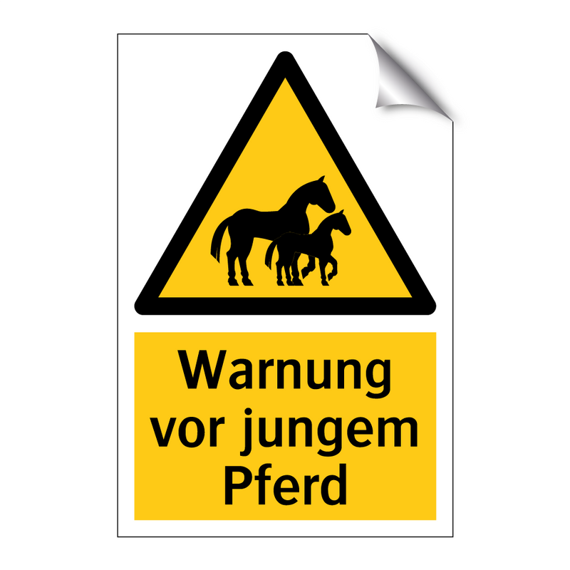 Warnung vor jungem Pferd