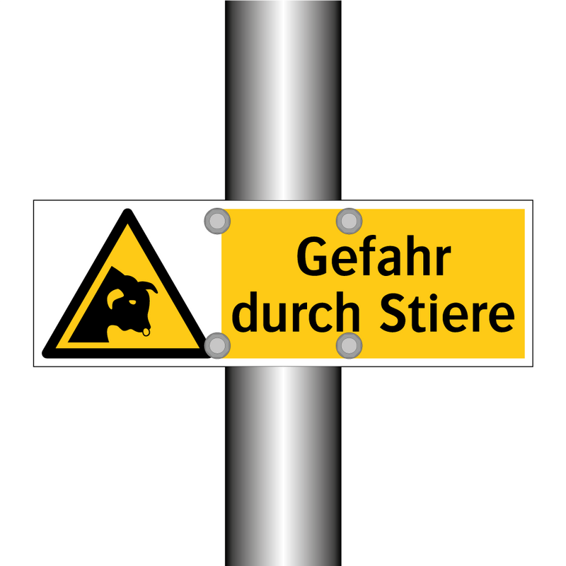 Gefahr durch Stiere