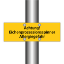Achtung! Eichenprozessionsspinner Allergiegefahr