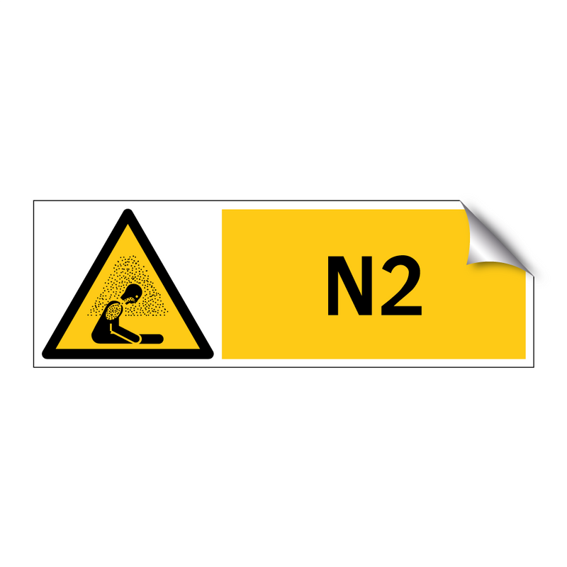 N2