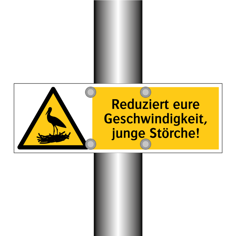 Reduziert eure Geschwindigkeit, junge Störche!