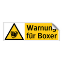 Warnung für Boxer