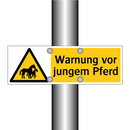 Warnung vor jungem Pferd