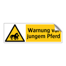 Warnung vor jungem Pferd