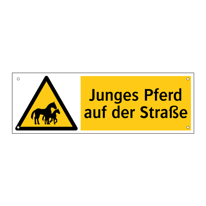 Junges Pferd auf der Straße